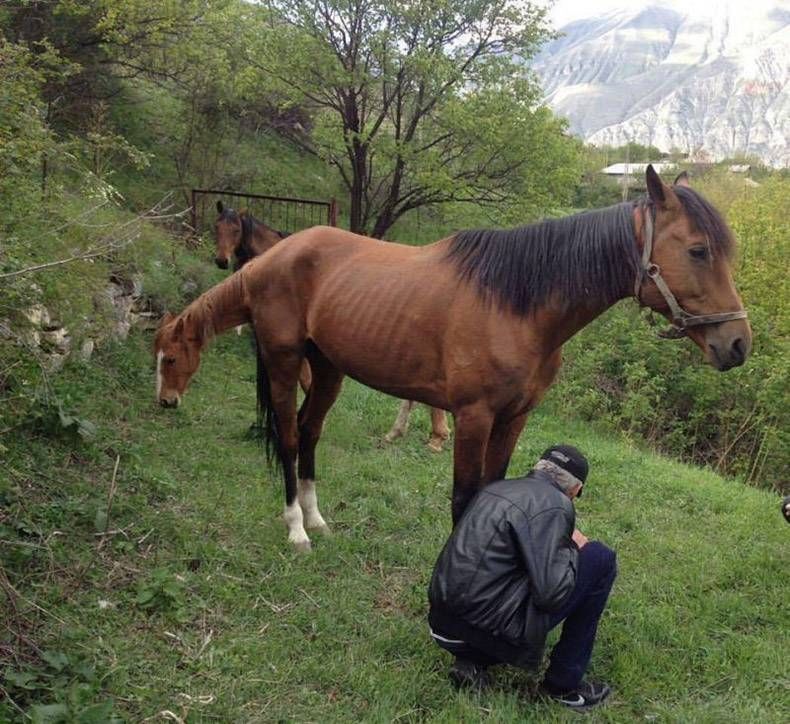 Gewoon een verzameling hilarische foto's #900