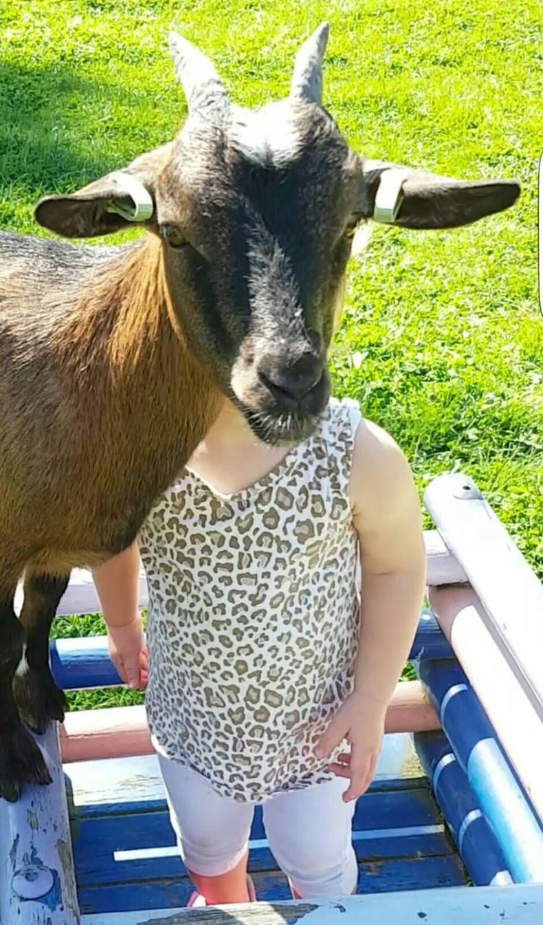 Gewoon een verzameling hilarische foto's #717