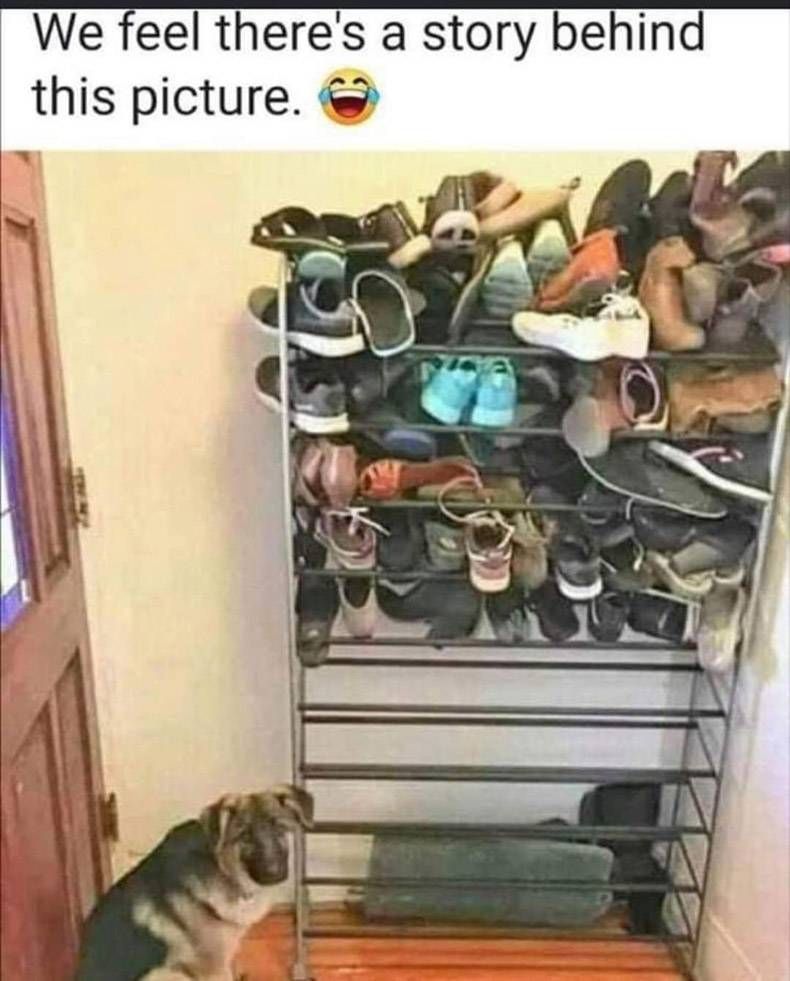 Gewoon een verzameling hilarische foto's #1300