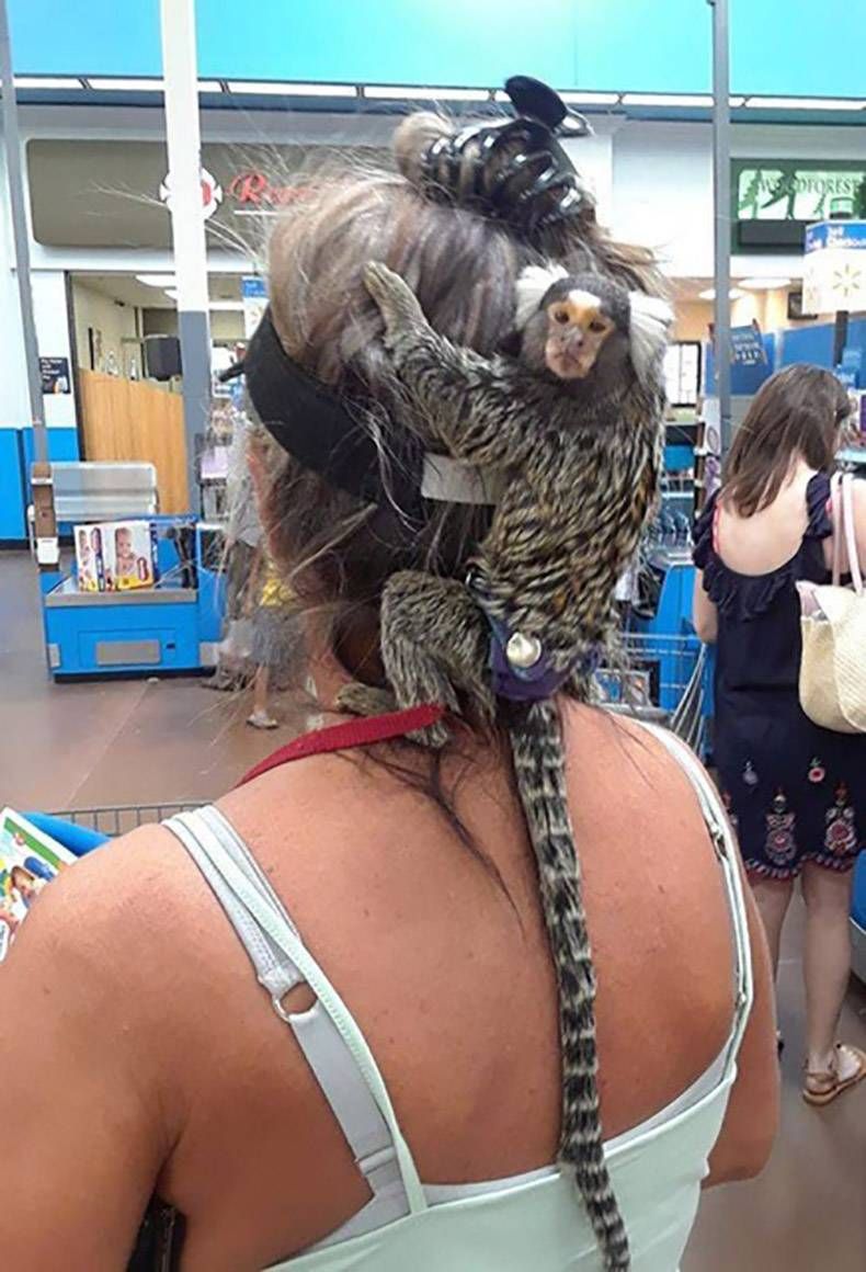 Gewoon een verzameling hilarische foto's #1026