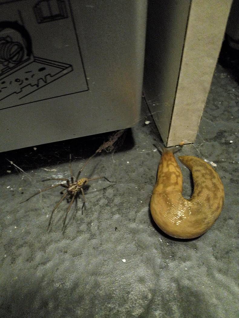 Gewoon een verzameling hilarische foto's #1017