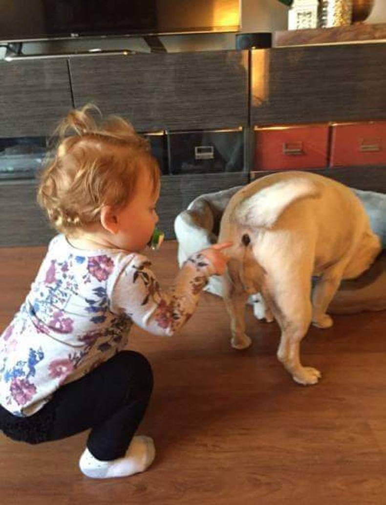 Pix Dump #1000 Special: Gewoon een verzameling OMFG foto’s