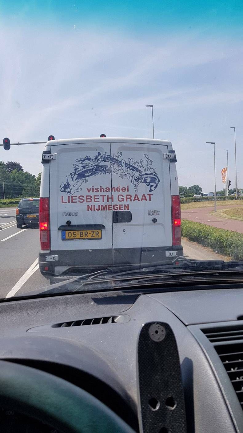 Gewoon een verzameling hilarische foto's #830