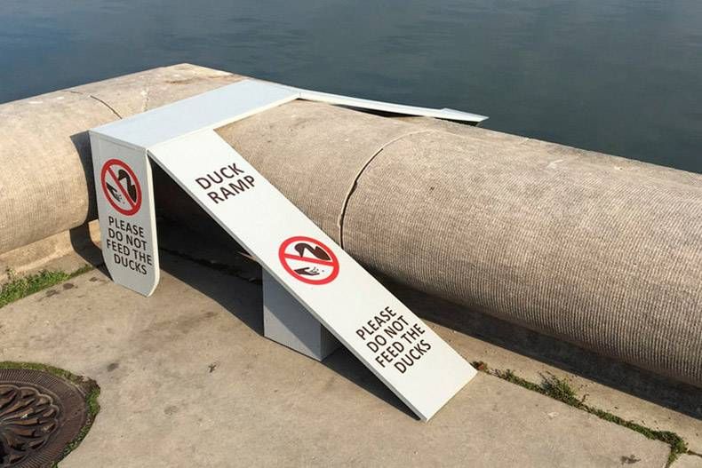 Gewoon een verzameling hilarische foto's #815