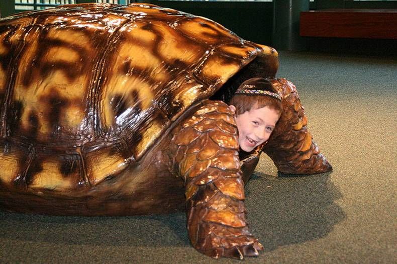 Gewoon een verzameling hilarische foto's #1134