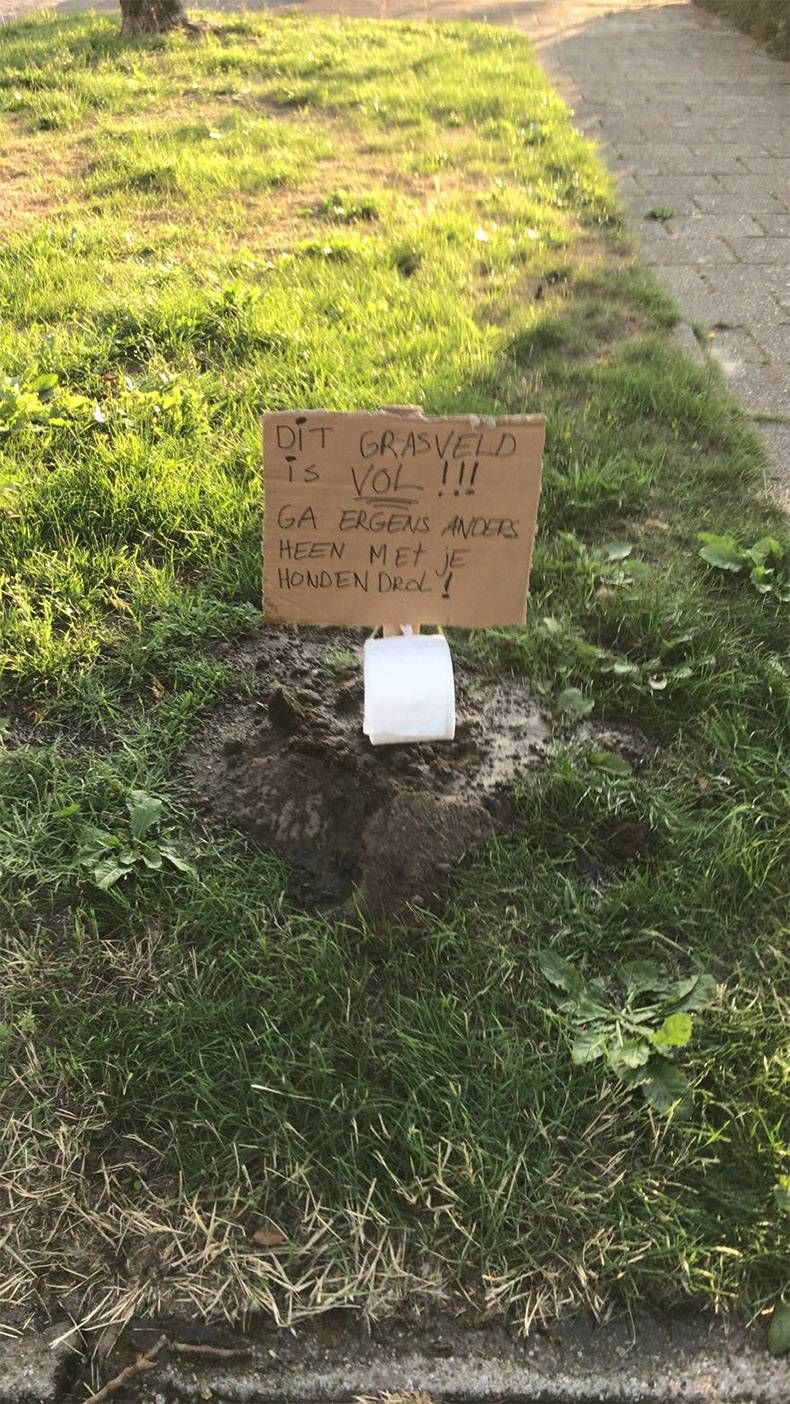 Gewoon een verzameling hilarische foto's #1013