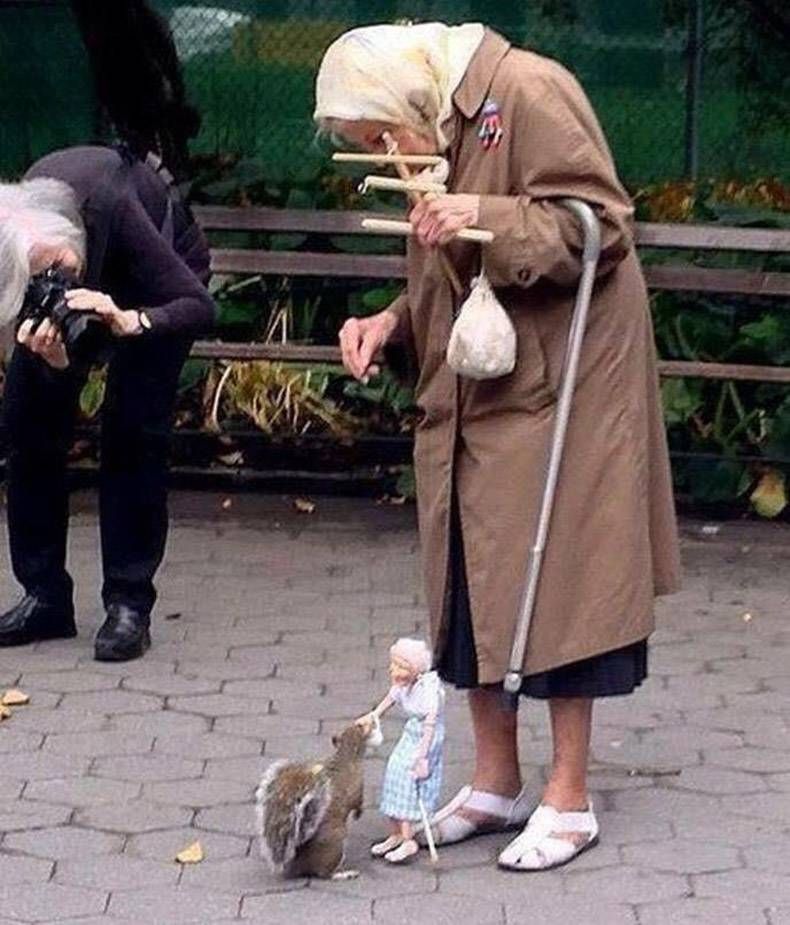 Gewoon een verzameling hilarische foto's #937