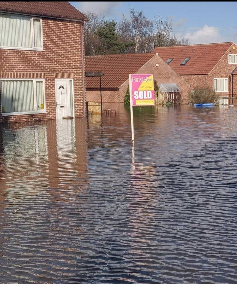 Gewoon een verzameling hilarische foto's #1251