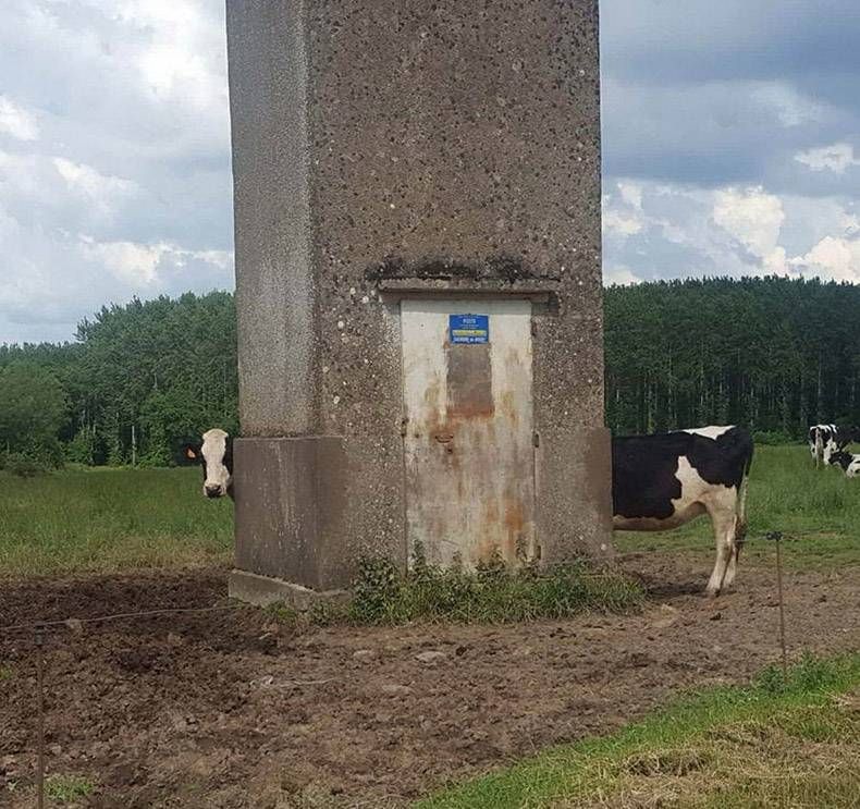 Gewoon een verzameling hilarische foto's #1052