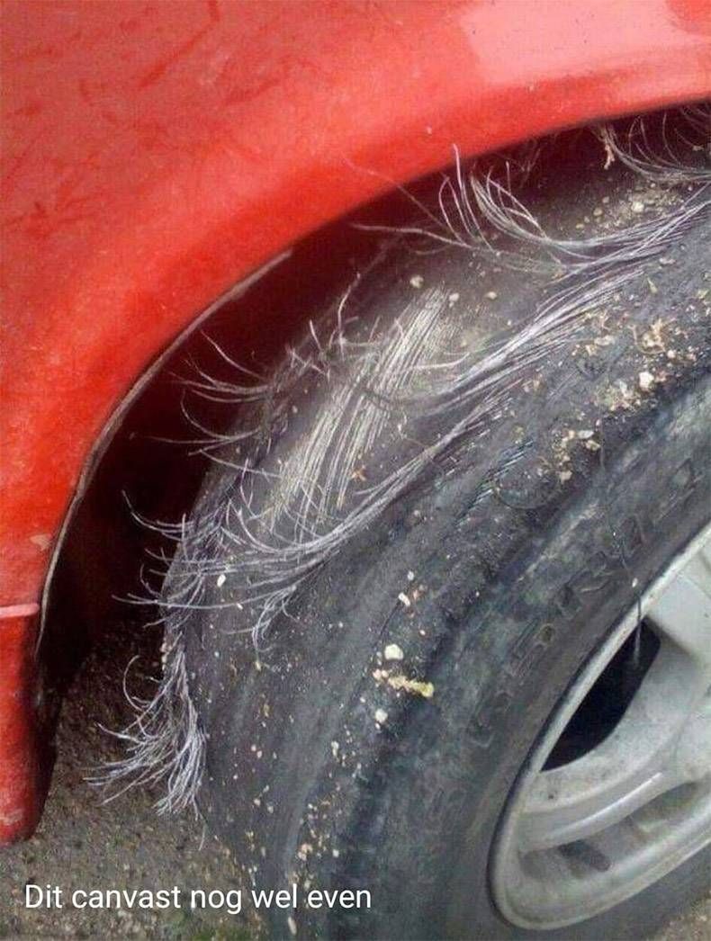 Gewoon een verzameling hilarische foto's #1036
