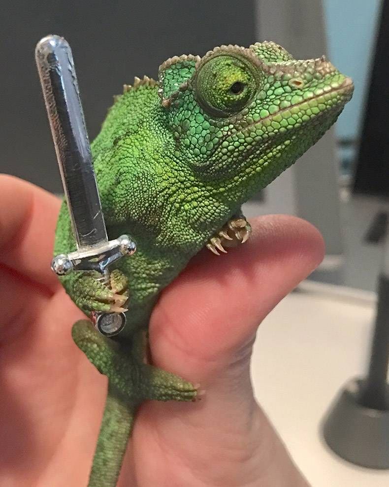 Gewoon een verzameling hilarische foto's #855