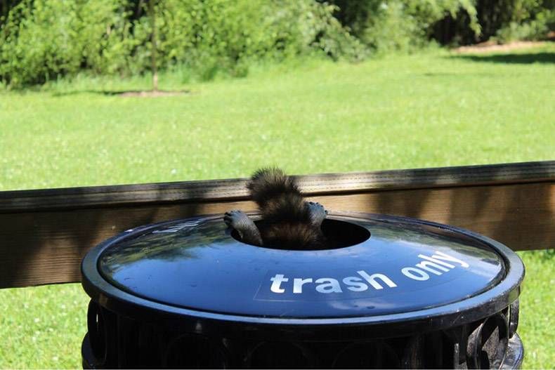 Gewoon een verzameling hilarische foto's #1204