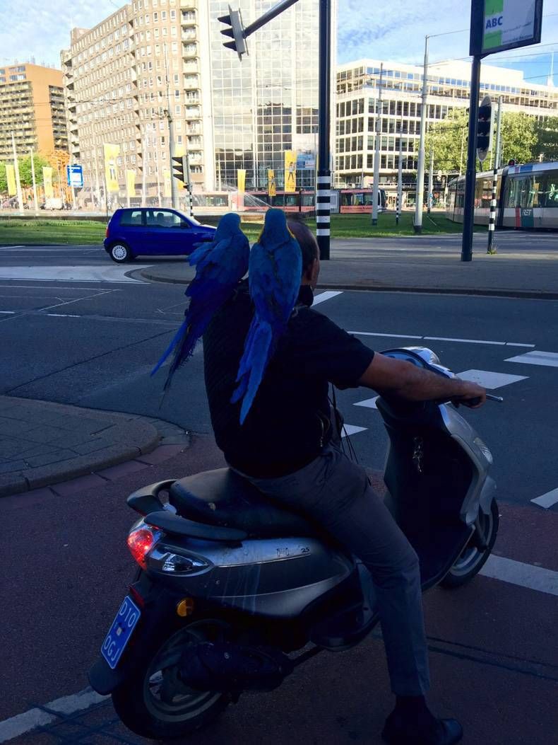 Pix Dump #1000 Special: Gewoon een verzameling straathumor foto's