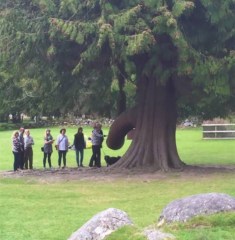 Gewoon een verzameling hilarische foto's #1019
