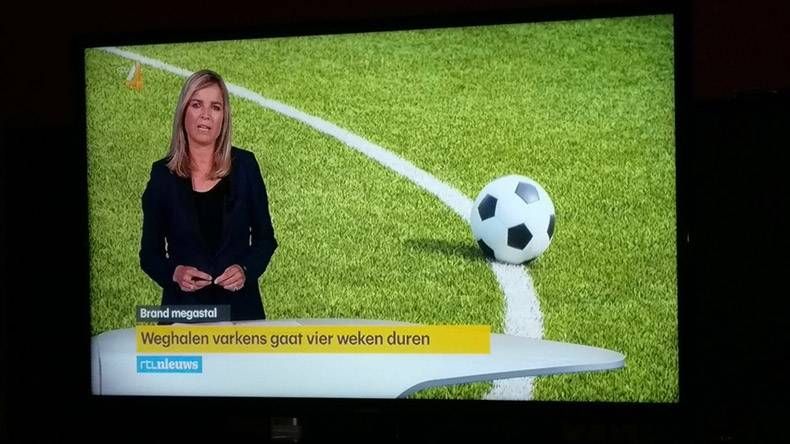 Gewoon een verzameling hilarische foto's #848