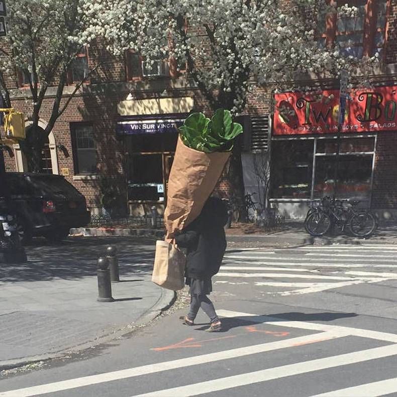 Gewoon een verzameling hilarische foto's #754