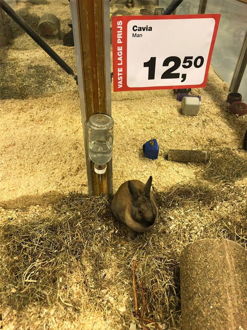 Gewoon een verzameling hilarische foto's #1073
