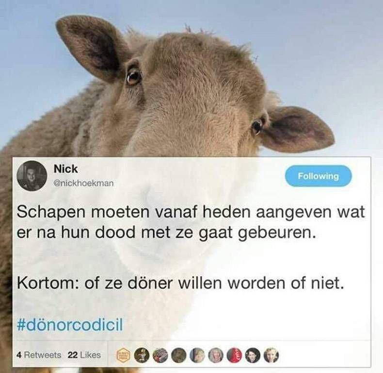 Gewoon een verzameling hilarische foto's #932