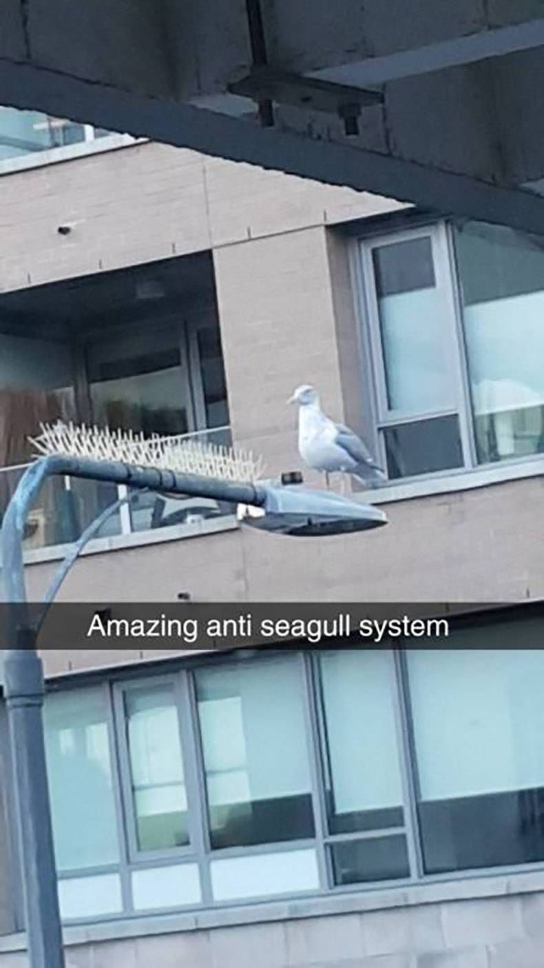 Gewoon een verzameling hilarische foto's #922