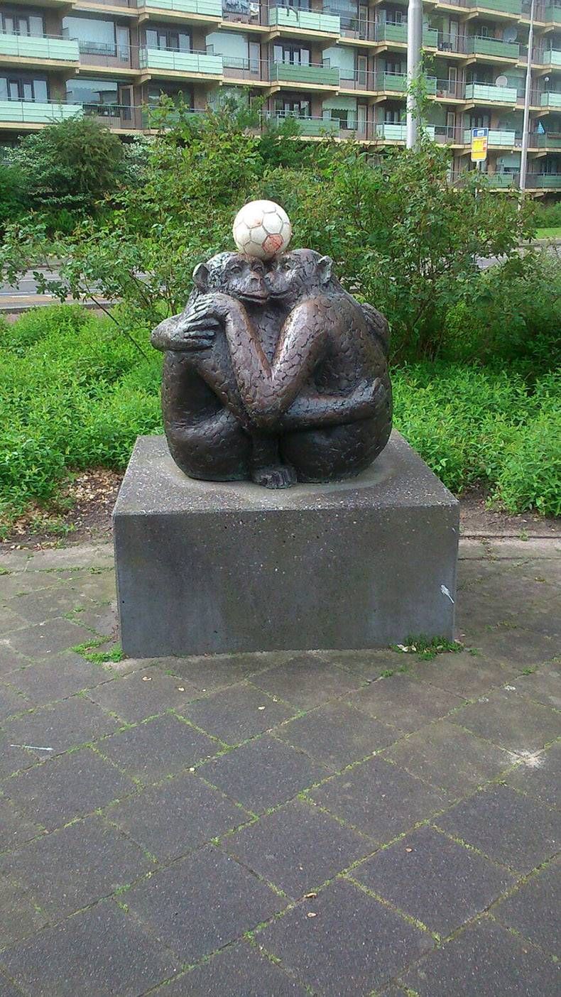 Gewoon een verzameling hilarische foto's #817