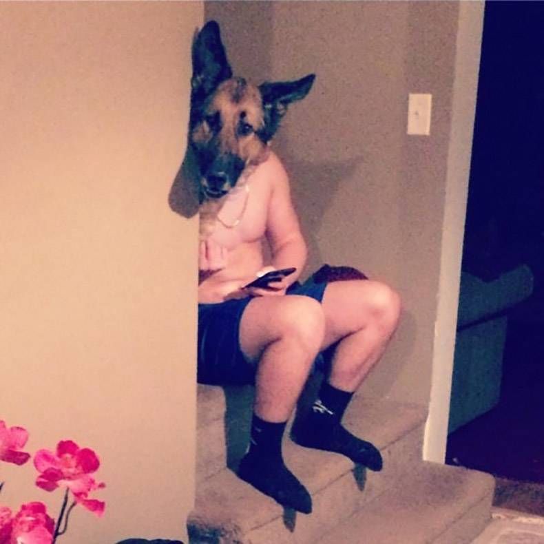 Gewoon een verzameling hilarische foto's #760