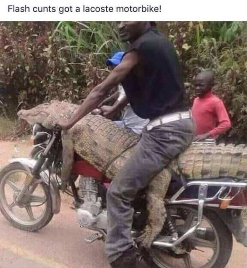 Gewoon een verzameling hilarische foto's #1001