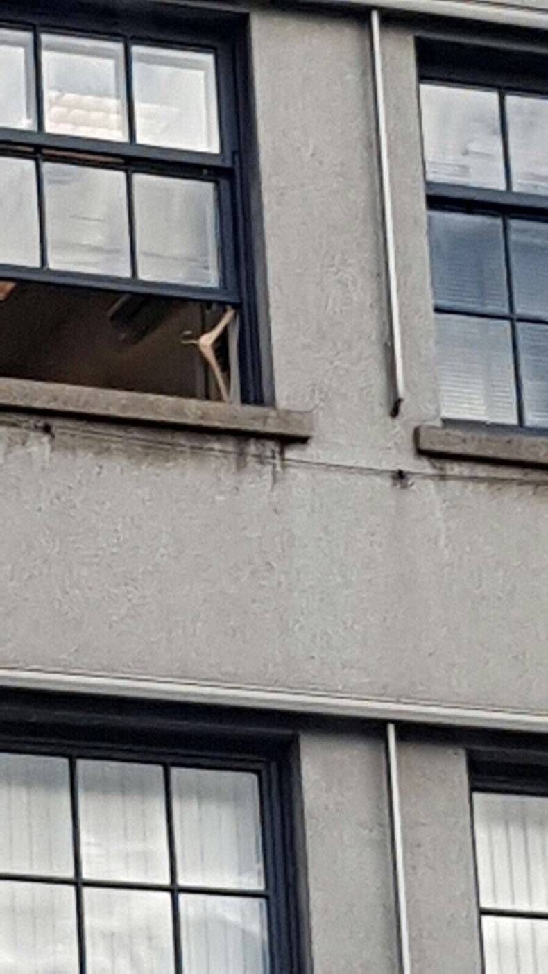 Gewoon een verzameling hilarische foto's #812