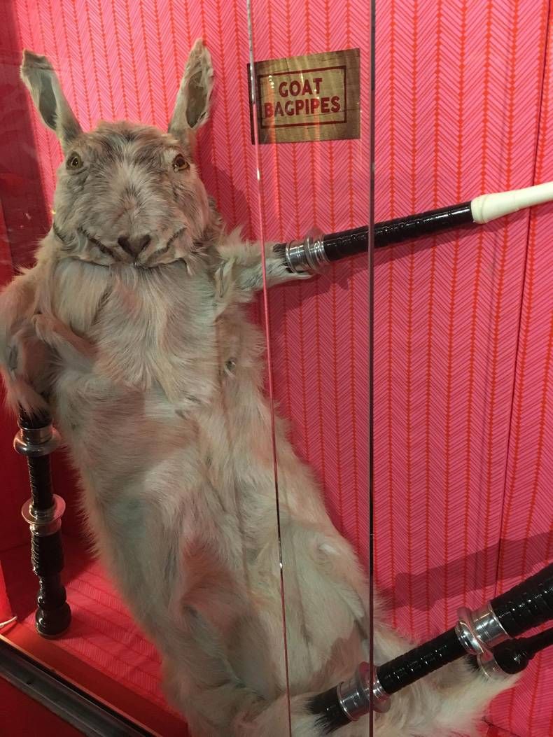 Gewoon een verzameling hilarische foto's #751