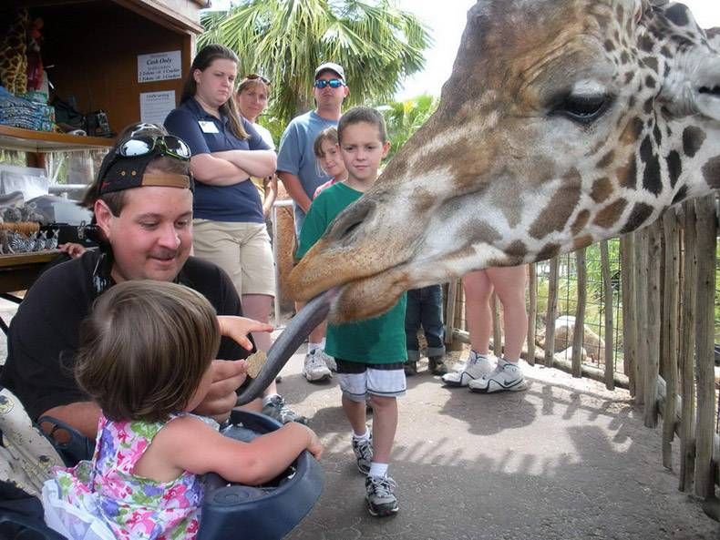 Gewoon een verzameling hilarische foto's #1304