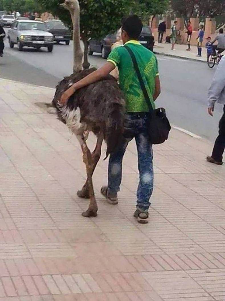 Gewoon een verzameling hilarische foto's #1018