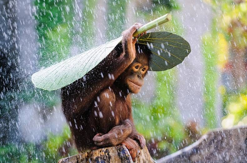 Gewoon een verzameling hilarische foto's #859