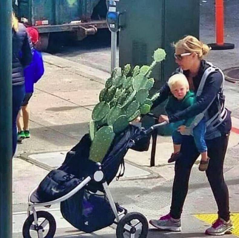 Gewoon een verzameling hilarische foto's #1332