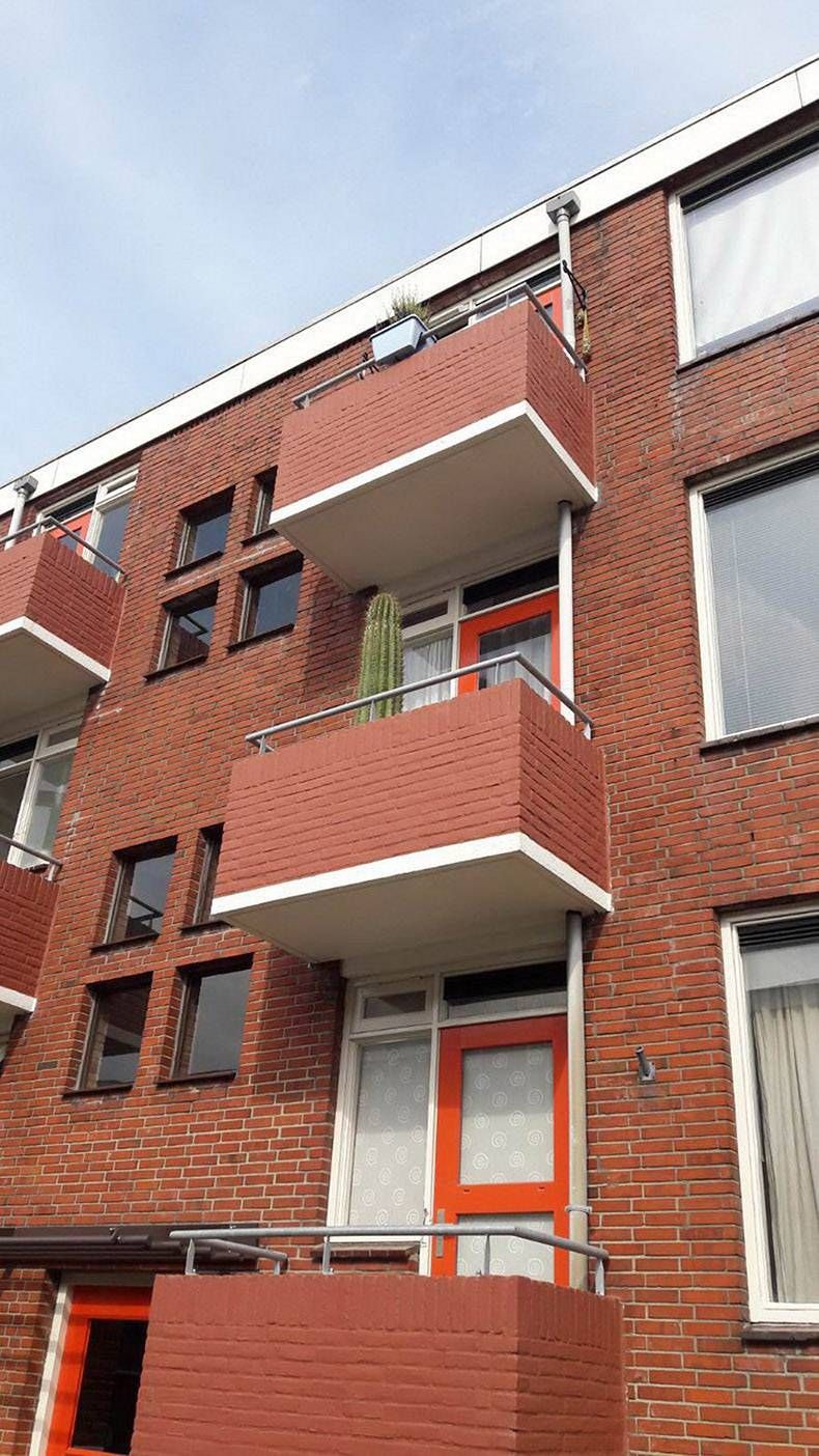 Gewoon een verzameling hilarische foto's #1188