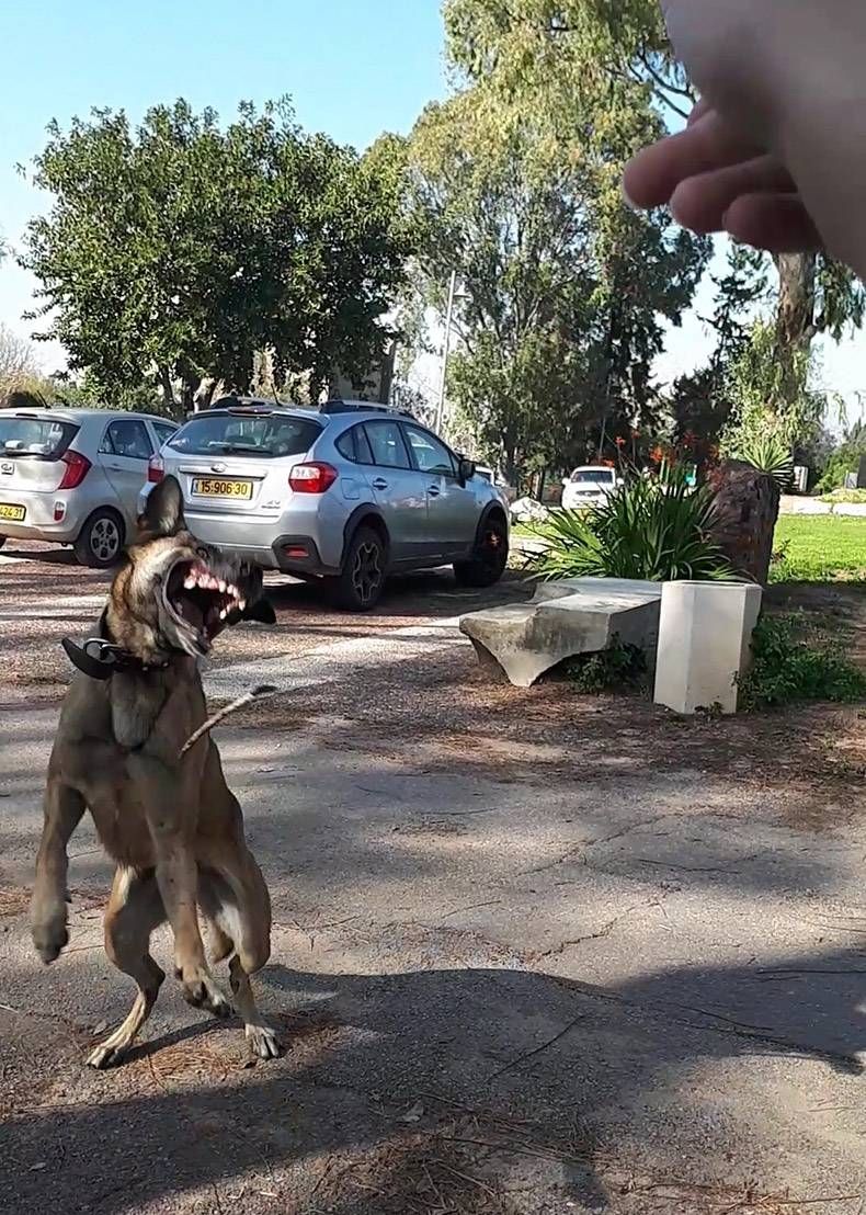 Gewoon een verzameling hilarische foto's #1105