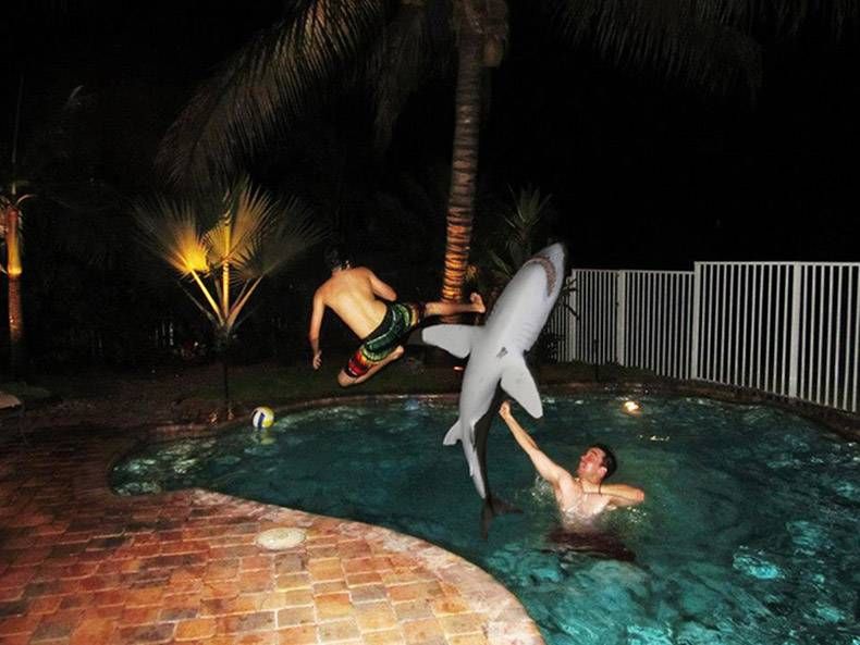 Gewoon een verzameling hilarische foto's #1092