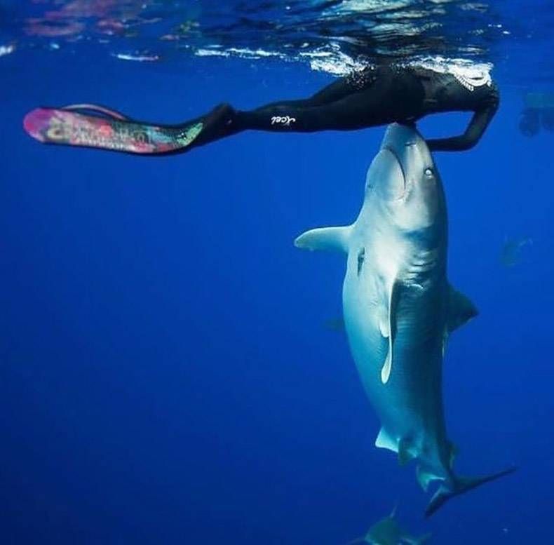Gewoon een verzameling hilarische foto's #760