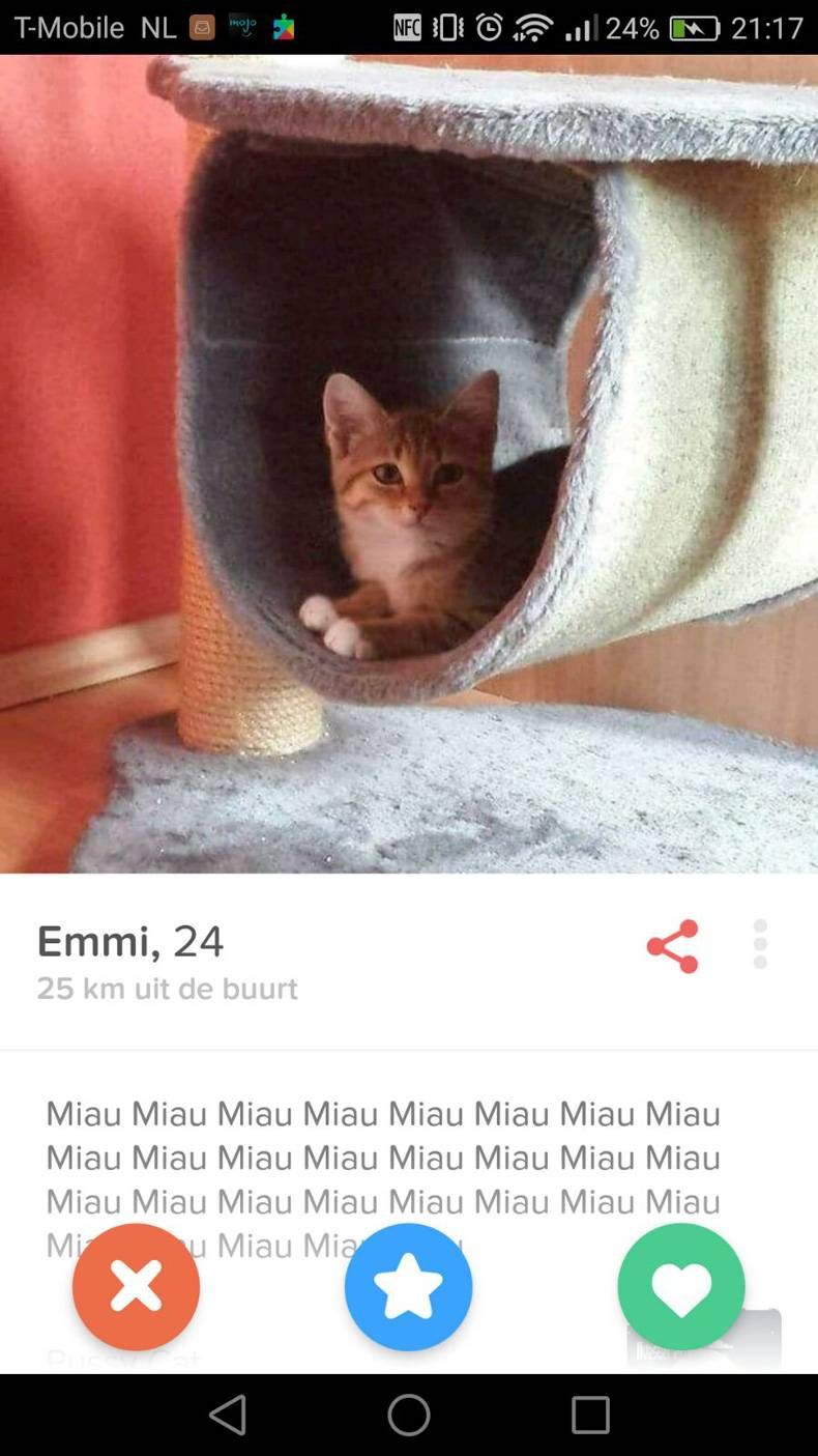 Gewoon een verzameling hilarische foto's #737