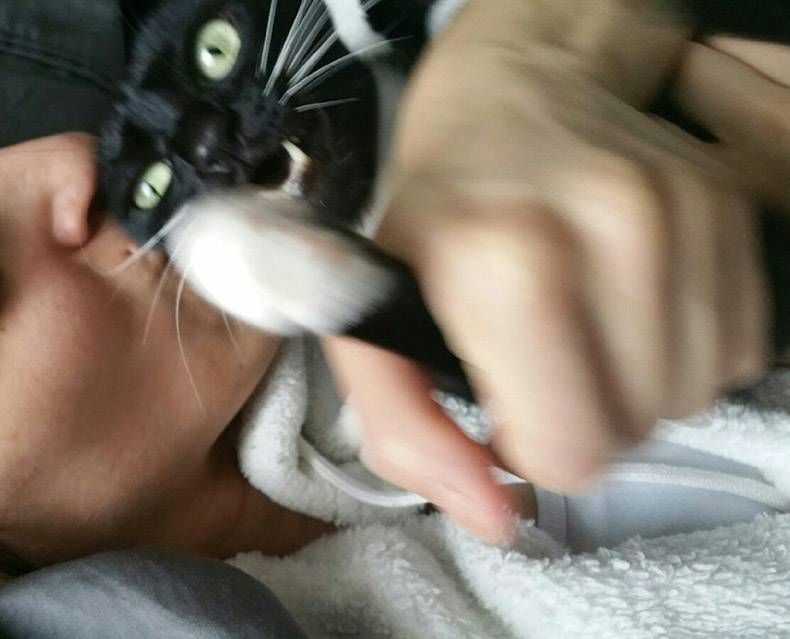 Gewoon een verzameling hilarische foto's #1183