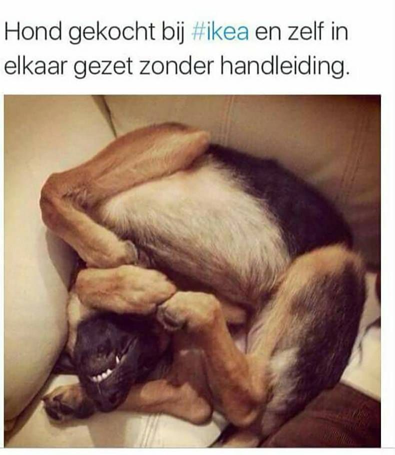Gewoon een verzameling hilarische foto’s #952