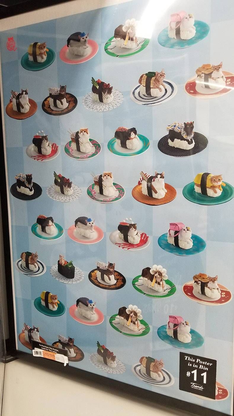 Gewoon een verzameling hilarische foto's #914
