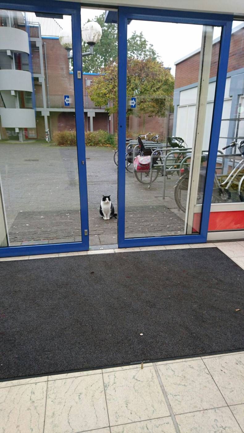 Gewoon een verzameling hilarische foto's #735