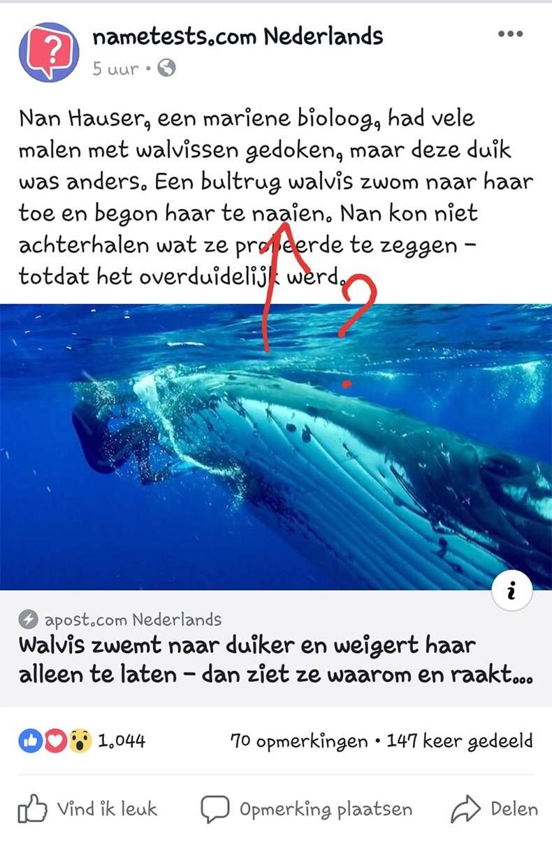 Gewoon een verzameling hilarische foto's #1085