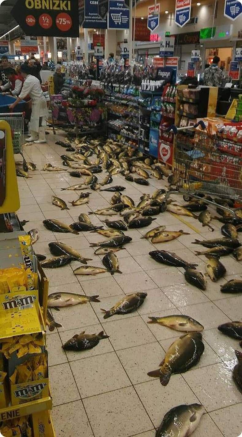 Gewoon een verzameling hilarische foto's #1060
