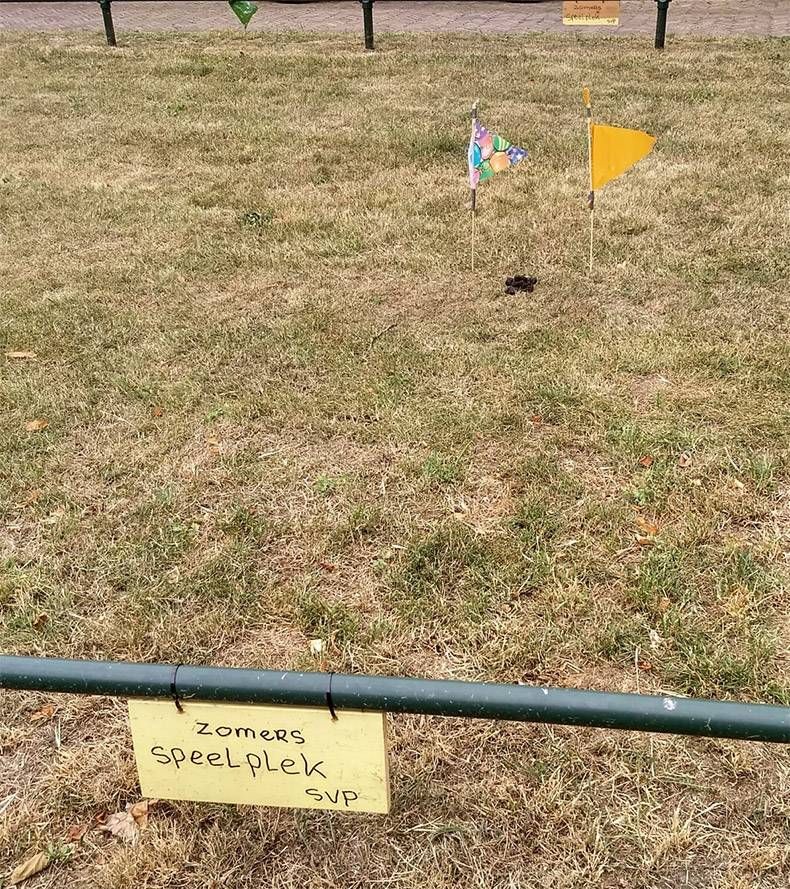 Gewoon een verzameling hilarische foto's #985