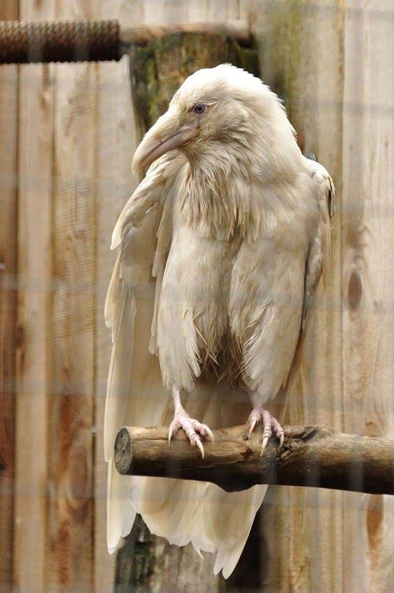 Gewoon een verzameling hilarische foto's #925