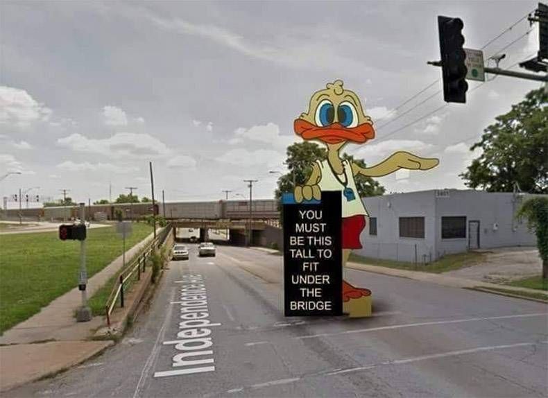Gewoon een verzameling hilarische foto's #1035