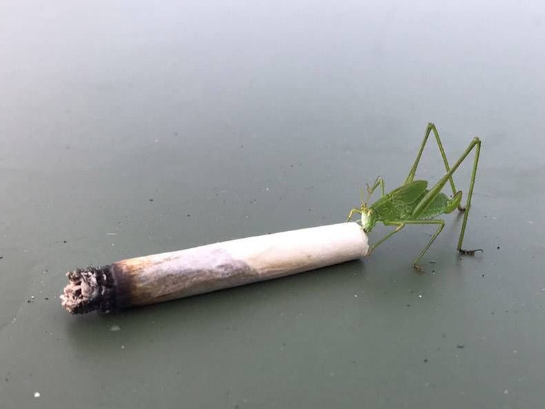 Gewoon een verzameling hilarische foto's #861