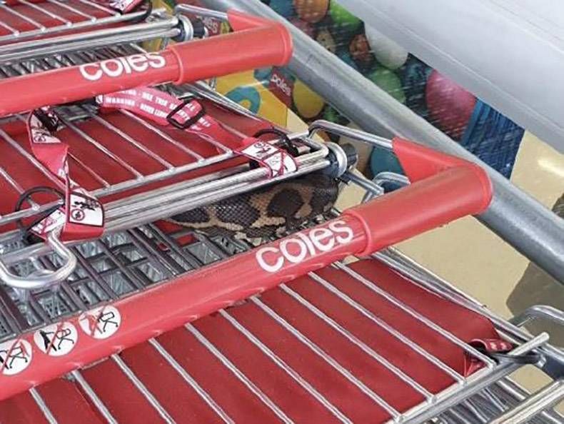 Gewoon een verzameling hilarische foto’s #1245