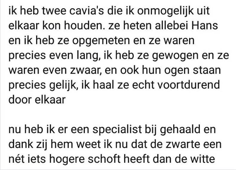 Gewoon een verzameling hilarische foto's #1063