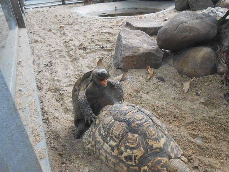 Gewoon een verzameling hilarische foto's #1005